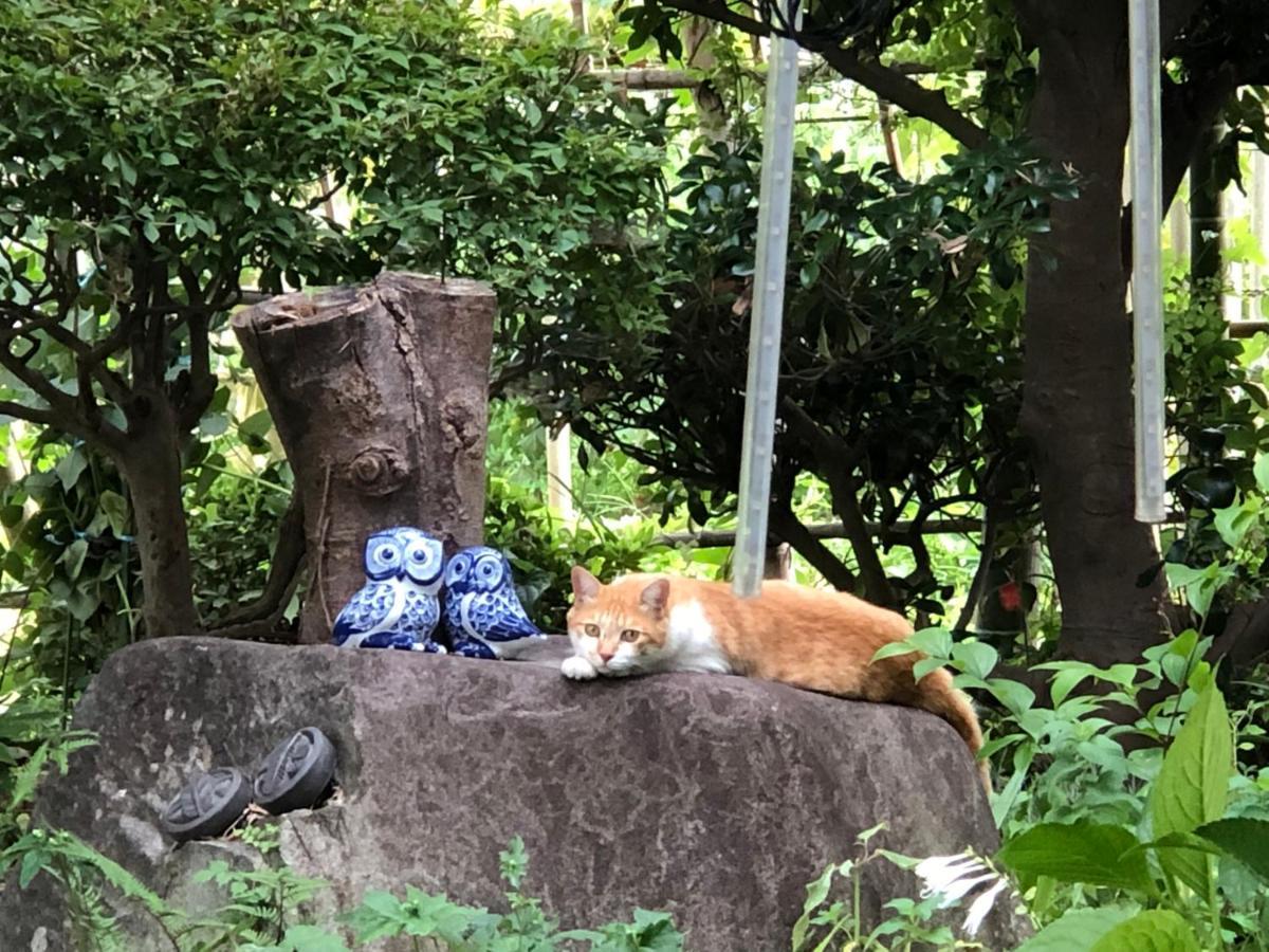 フクロウの御宿 笛吹市 外观 照片